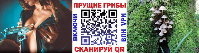 Псилоцибиновые грибы MAGIC MUSHROOMS  Сураж 