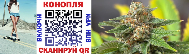 Шишки марихуана THC 21%  Сураж 